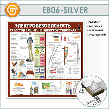 ����� ��������������������. �������� ������ � ������������������ (EB-06-SILVER)