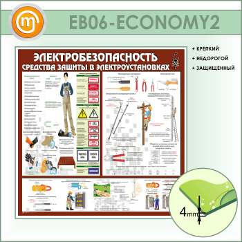����� ��������������������. �������� ������ � ������������������ (EB-06-ECONOMY2)