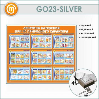 ����� ��������� ��������� ��� �� ���������� ��������� (GO-23-SILVER)