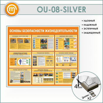 ����� ������� ������������ ����������������� (OU-08-SILVER)
