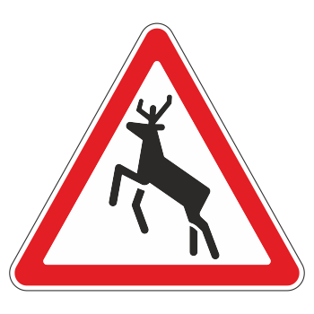 �������� ���� 1.27 ������ �������� (������ 0,8 ��, III ����������: ������� 1200 ��, �/� ������: ��� � ����������)