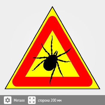 ���� ������, B99 (������, ������� 300 ��)