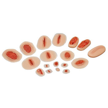 ����� ���������� ������� ����������� ������� (11 �����)