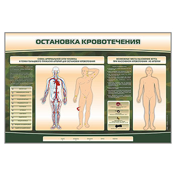 ������������������� �����-�������� ���������� �������������