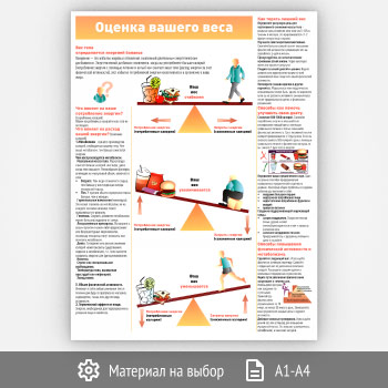 ������ ������� ������ ���� (���-01, 1 ����)