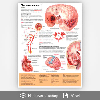 ������ ���� ����� ������� (���-13, 1 ����)