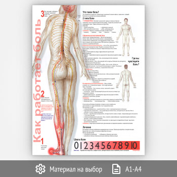 ������ ������ (���-28, 1 ����)