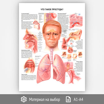 ������ ���� ����� ��������?� (���-37, 1 ����)