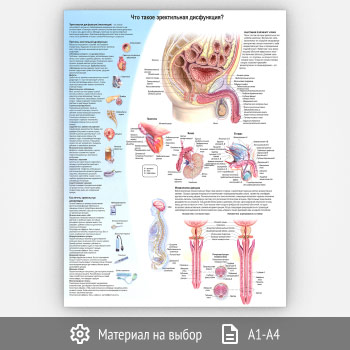 ������ ���� ����� ����������� ����������?� (���-46, 1 ����)